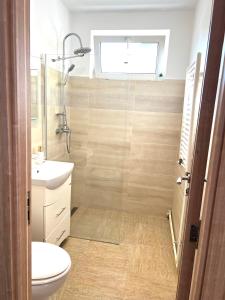 a bathroom with a shower and a toilet and a sink at Star Apartments in Baia Mare