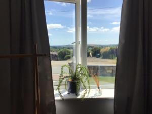 a window with a potted plant on a window sill at Letterston Valley View in Haverfordwest