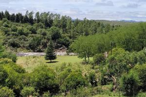 a field with a tree in the middle of a forest at Bela Vista Casa Serrana, Golpe de Agua in Los Reartes