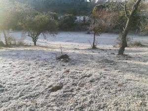 a field with trees and snow on the ground at Bela Vista Casa Serrana, Golpe de Agua in Los Reartes