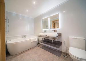 a bathroom with a tub and a toilet and a mirror at Llwyngwair Manor Holiday Park in Nevern