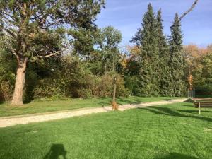 Zahrada ubytování Doppelzimmer mit neuem Bad und Sportpool-Nutzung außen, im basement cellar der Villa Naturpark, Garten mit Rheinblick