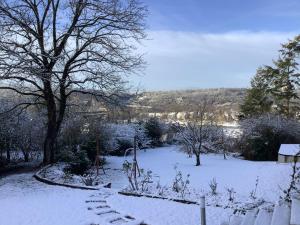 un jardin enneigé avec des arbres et un chemin dans l'établissement Doppelzimmer mit neuem Bad und Sportpool-Nutzung außen, im Souterrain der Villa Naturpark, Garten mit Rheinblick, à Coblence