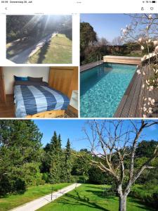 un collage de cuatro fotos de una piscina en Doppelzimmer mit neuem Bad und Sportpool-Nutzung außen, im Souterrain der Villa Naturpark, Garten mit Rheinblick en Koblenz