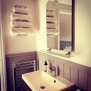 a bathroom with a sink and a mirror and towels at Hascombe Accommodation in Hascombe