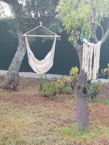 a hammock hanging from a tree in a garden at Casas Zé Pinto in Hospital