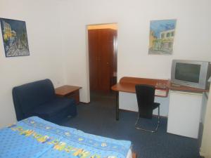 TV a/nebo společenská místnost v ubytování Hotel Pri Belokranjcu