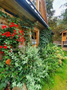 a bunch of flowers on the side of a house at Domek Góralski Chatka Puchatka in Poronin