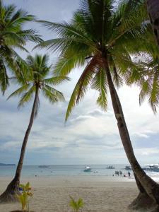 two palm trees on a beach with the ocean at Casita Isla Beach Inn in Boracay