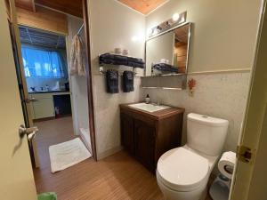 a bathroom with a toilet and a sink and a mirror at Bayshore RV Park & Guest Suites in Tokeland +8 photos