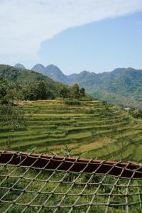 uitzicht op een veld met bergen op de achtergrond bij Pù Luông Ecolodge in Pu Luong