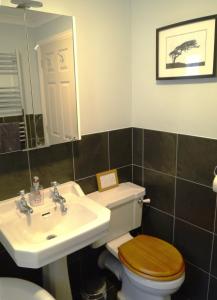 a bathroom with a sink and a toilet and a mirror at Bar Hill Lodge in Gatehouse of Fleet