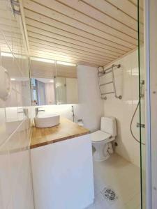La salle de bains est pourvue d'un lavabo et de toilettes. dans l'établissement Stylish Studio in Downtown Helsinki, à Helsinki