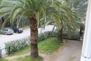 Zahrada ubytování T2 Calvi entierement équipé à 150m de la plage.