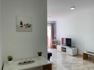 Televízia a/alebo spoločenská miestnosť v ubytovaní El Olivo House B
