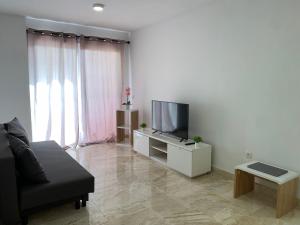 Televízia a/alebo spoločenská miestnosť v ubytovaní El Olivo House B