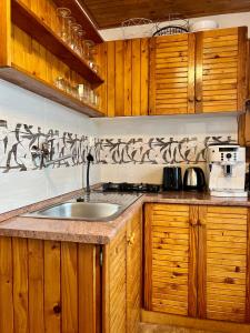 多克西的住宿－Rodinná Chatka Mehes，一个带木制橱柜和水槽的厨房