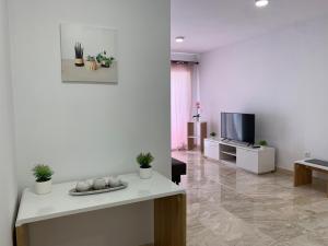 Televízia a/alebo spoločenská miestnosť v ubytovaní El Olivo House B