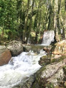 una corriente de agua con rocas y árboles en Hotel Barbacedo, en Mijares