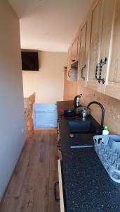Kuchyňa alebo kuchynka v ubytovaní Apartament Orkisz