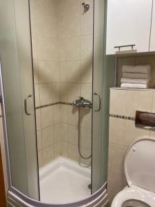 a bathroom with a shower and a toilet at Apartman Bella Novi Beograd in Bežanija