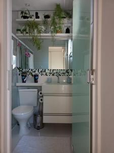 ein Badezimmer mit einem WC, einem Waschbecken und einem Spiegel in der Unterkunft Hospedaria Alternativa Ser de Deus in Cachoeira Paulista