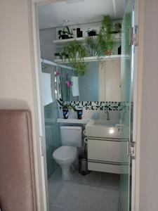 ein Badezimmer mit einem WC und einem Waschbecken mit Topfpflanzen in der Unterkunft Hospedaria Alternativa Ser de Deus in Cachoeira Paulista