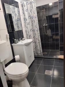 a bathroom with a toilet and a shower at Casa Marina in Călimăneşti