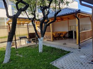 a gazebo with a picnic table and two trees at Casa Marina in Călimăneşti +2 photos