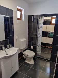 克利默內甚蒂的住宿－Casa Marina，浴室配有卫生间、淋浴和盥洗盆。