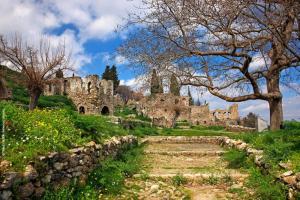 un viejo castillo en una colina con un camino de piedra en Olive and Orange Apartment, en Mystras