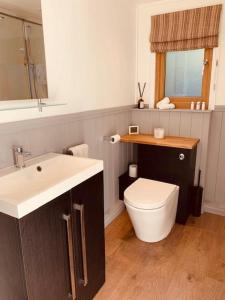 bagno con lavandino, servizi igienici e specchio di Hascombe Accommodation a Hascombe