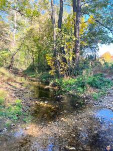 Fotografie z fotogalerie ubytování Crângul Verde v destinaci Minciuneşti