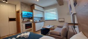 a living room with a couch and a tv and a fireplace at Apartmani MONTES Jahorina in Jahorina