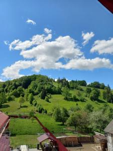 vista su una verde collina con alberi di Pensiunea Floare de Bucovina a Frasin