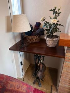 Belicena的住宿－Casa Rural Xauen，一张桌子,上面有两株植物,上面有一盏灯