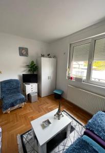 ein Wohnzimmer mit einem Sofa und einem Tisch in der Unterkunft APARTMAN AGEKO in Gornji Milanovac