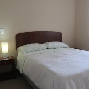 塔爾卡的住宿－Departamento Exclusivo Talca，一间卧室配有一张大床和木制床头板