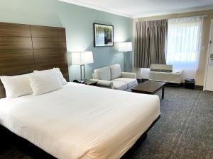 Ένα ή περισσότερα κρεβάτια σε δωμάτιο στο Roadstar Hotel Zephyrhills