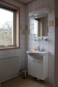 a bathroom with a sink and a mirror and a window at Pensionat Ekholmen in Vessigebro