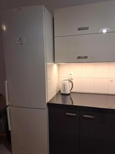 Kuchyň nebo kuchyňský kout v ubytování apartment golden Prague