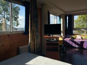 um quarto com uma cama, uma televisão e janelas em La Maison Du Coteau em Cachan
