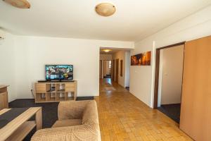 a living room with a couch and a tv on a wall at XLSuite Apartment Comfort in Piešťany