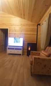 een woonkamer met een grote tv in een houten kamer bij Las cabañas de Tino in Cimanes del Tejar