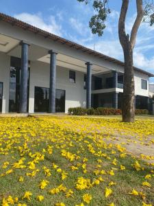un champ de fleurs jaunes devant un bâtiment dans l'établissement TODDES EXCLUSIVE RESORT, à Paragominas