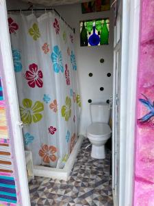 y baño con aseo y cortina de ducha. en Cabaña Rústica Villa Alicia, en Paipa