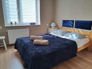Posteľ alebo postele v izbe v ubytovaní Apartamenty i Pokoje Piaskowy Mak