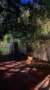 a shady yard with a fence and a tree at Salzoasen Apartment in Bad Schwartau