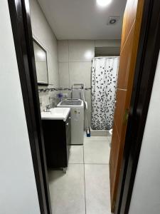 a small bathroom with a sink and a shower at Alvere ll Temporary Apartments Ushuaia in Ushuaia
