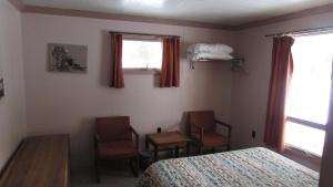 Gallery image of Woodland Motor Lodge in Grayling